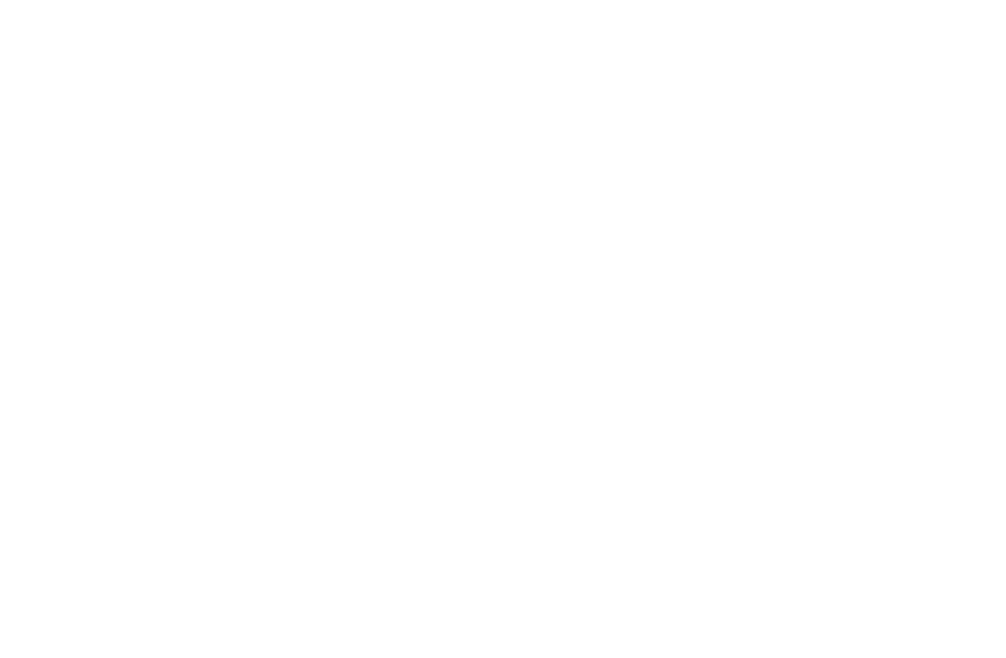 Logo 24h du Mans